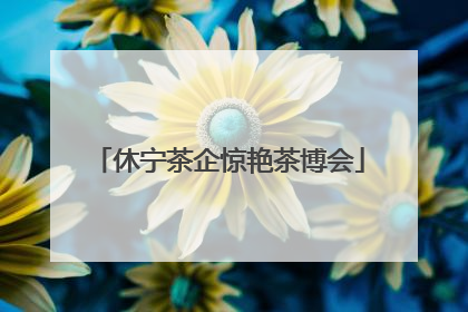 休宁茶企惊艳茶博会