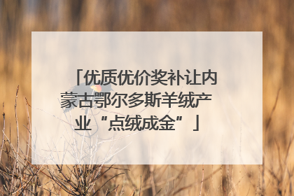 优质优价奖补让内蒙古鄂尔多斯羊绒产业“点绒成金”