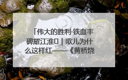 伟大的胜利·铁血丰碑耀江淮⑫｜歌儿为什么这样红——《黄桥烧饼歌》诞生记
