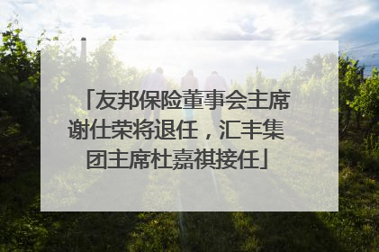 友邦保险董事会主席谢仕荣将退任，汇丰集团主席杜嘉祺接任