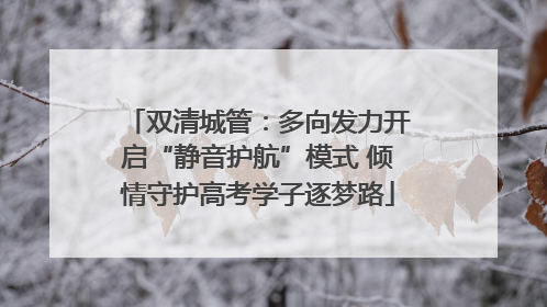 双清城管：多向发力开启“静音护航”模式 倾情守护高考学子逐梦路