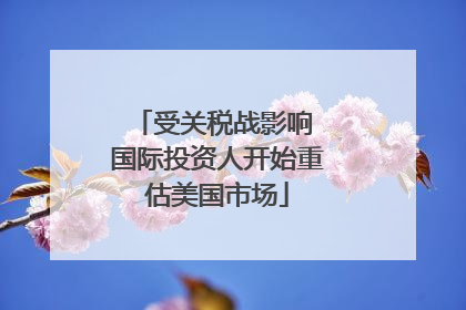 受关税战影响 国际投资人开始重估美国市场