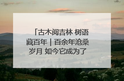 古木阅吉林 树语藏百年｜百余年沧桑岁月 如今它成为了“镇园之宝”
