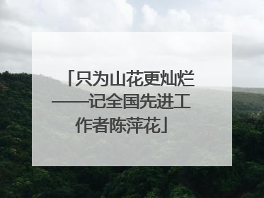 只为山花更灿烂——记全国先进工作者陈萍花