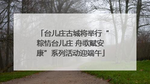 台儿庄古城将举行“粽情台儿庄 舟歌赋安康”系列活动迎端午