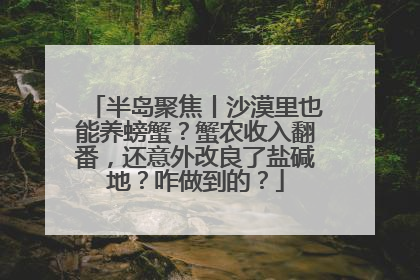 半岛聚焦丨沙漠里也能养螃蟹？蟹农收入翻番，还意外改良了盐碱地？咋做到的？