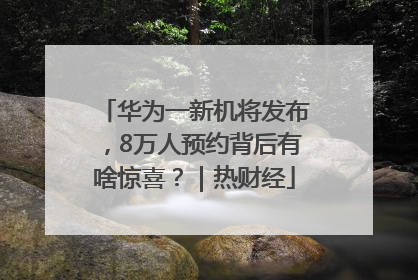 华为一新机将发布，8万人预约背后有啥惊喜？｜热财经