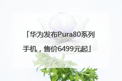 华为发布Pura80系列手机，售价6499元起