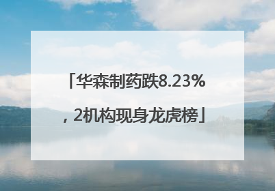 华森制药跌8.23%，2机构现身龙虎榜