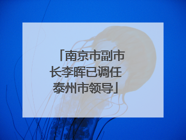 南京市副市长李晖已调任泰州市领导