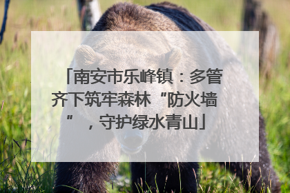 南安市乐峰镇：多管齐下筑牢森林“防火墙”，守护绿水青山