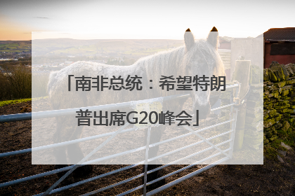 南非总统：希望特朗普出席G20峰会