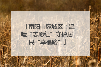 南阳市宛城区：温暖“志愿红”守护居民“幸福路”