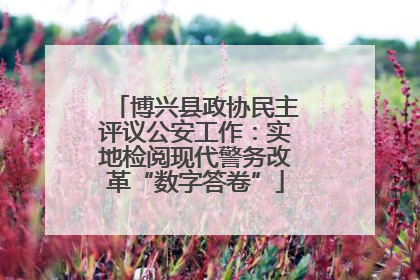 博兴县政协民主评议公安工作：实地检阅现代警务改革“数字答卷”