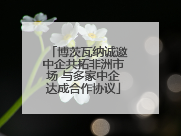 博茨瓦纳诚邀中企共拓非洲市场 与多家中企达成合作协议
