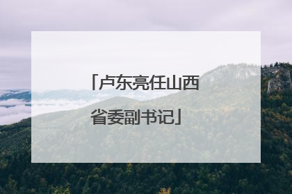 卢东亮任山西省委副书记