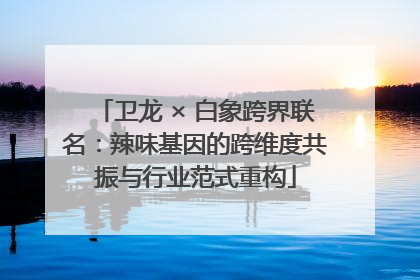 卫龙 × 白象跨界联名：辣味基因的跨维度共振与行业范式重构