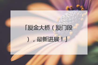 厦金大桥（厦门段），最新进展！