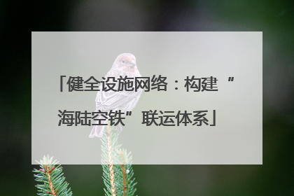 健全设施网络：构建“海陆空铁”联运体系