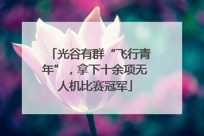 光谷有群“飞行青年”，拿下十余项无人机比赛冠军