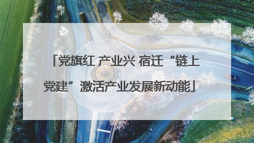党旗红 产业兴 宿迁“链上党建”激活产业发展新动能