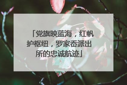 党旗映蓝海，红帆护枢纽，罗家岙派出所的忠诚航迹