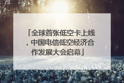 全球首张低空卡上线，中国电信低空经济合作发展大会启幕