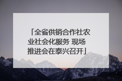 全省供销合作社农业社会化服务 现场推进会在泰兴召开
