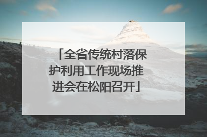 全省传统村落保护利用工作现场推进会在松阳召开