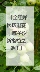 全红婵因伤退赛，陈芋汐新搭档是她！