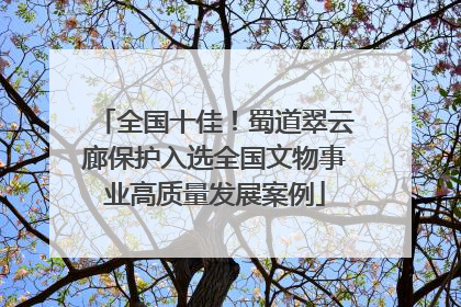 全国十佳！蜀道翠云廊保护入选全国文物事业高质量发展案例