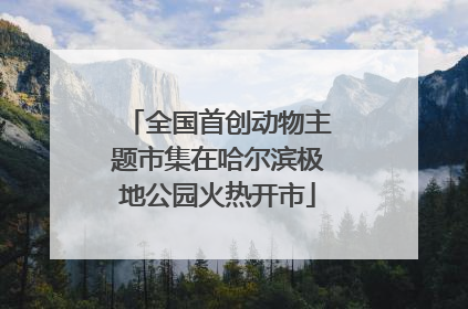 全国首创动物主题市集在哈尔滨极地公园火热开市