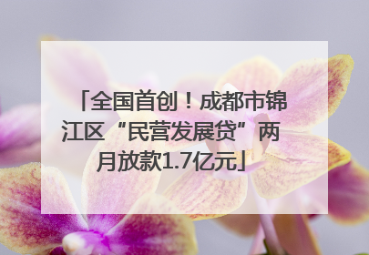 全国首创！成都市锦江区“民营发展贷”两月放款1.7亿元