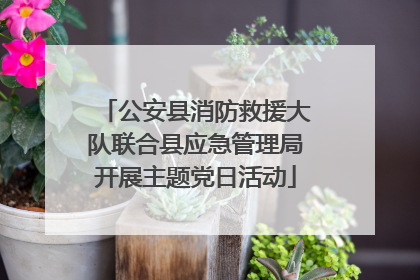 公安县消防救援大队联合县应急管理局开展主题党日活动