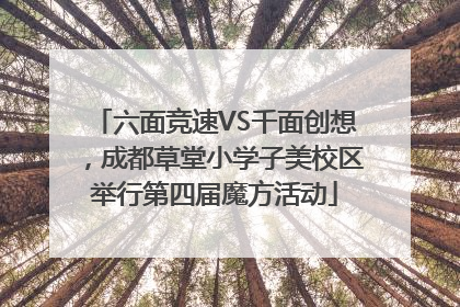 六面竞速VS千面创想，成都草堂小学子美校区举行第四届魔方活动