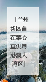兰州新区首茬菜心直供粤港澳大湾区