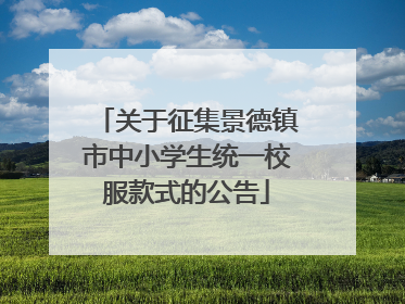 关于征集景德镇市中小学生统一校服款式的公告