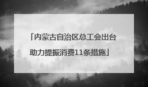 内蒙古自治区总工会出台助力提振消费11条措施