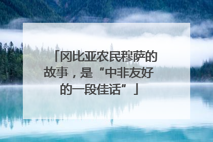 冈比亚农民穆萨的故事，是“中非友好的一段佳话”