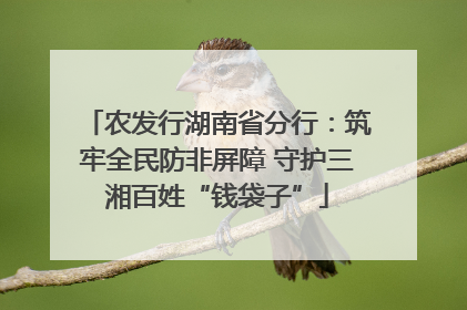 农发行湖南省分行：筑牢全民防非屏障 守护三湘百姓“钱袋子”