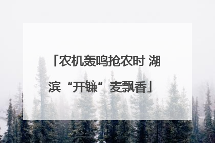 农机轰鸣抢农时 湖滨“开镰”麦飘香
