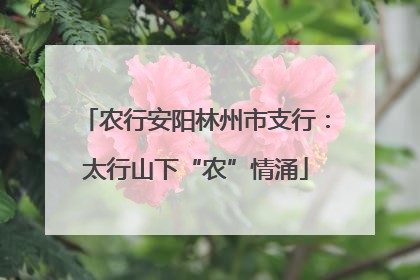 农行安阳林州市支行：太行山下“农”情涌