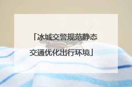 冰城交警规范静态交通优化出行环境