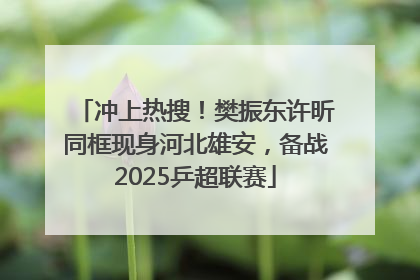 冲上热搜！樊振东许昕同框现身河北雄安，备战2025乒超联赛