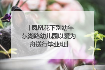 凤凰花下别幼年 东湖路幼儿园以爱为舟送行毕业班