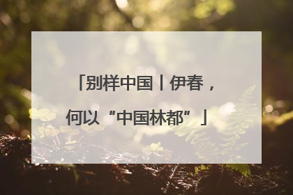 别样中国丨伊春，何以“中国林都”