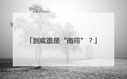 到底谁是“南哥”？