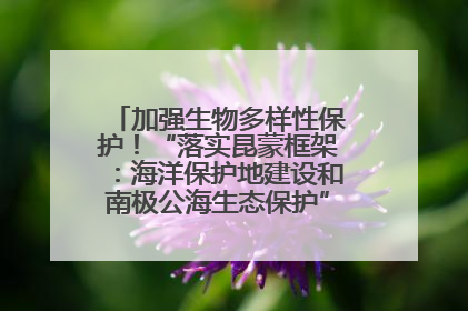加强生物多样性保护！“落实昆蒙框架：海洋保护地建设和南极公海生态保护”主题论坛将举办
