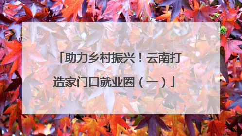 助力乡村振兴！云南打造家门口就业圈（一）