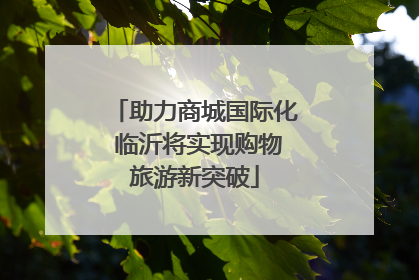 助力商城国际化 临沂将实现购物旅游新突破